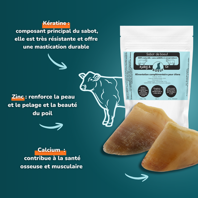 Sabot de bœuf - Friandises pour chien