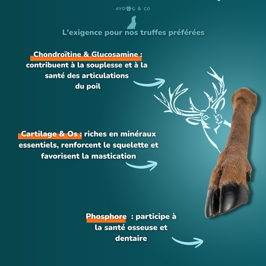 Deer foot with hair - Dog treats