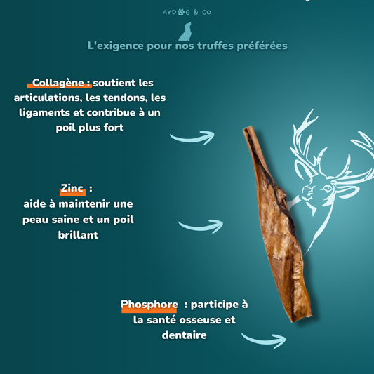 Peau de cerf  L - friandises pour chien