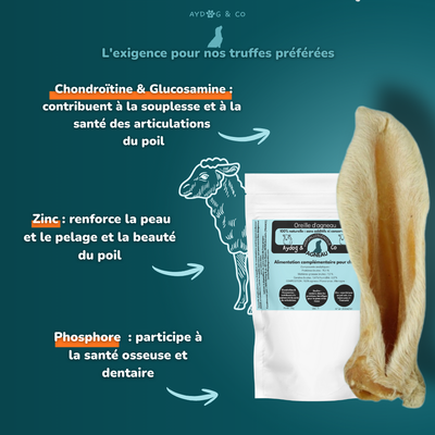 Oreilles d'agneau avec poils - Friandises pour chien