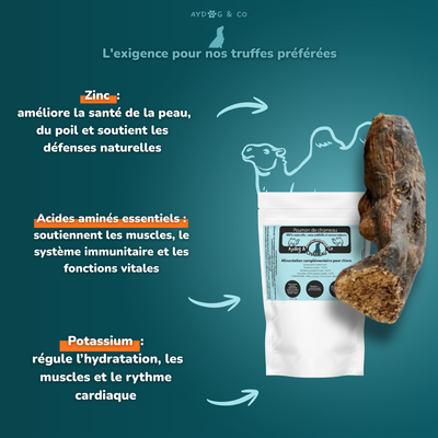 Poumon de chameau - Friandises pour chien