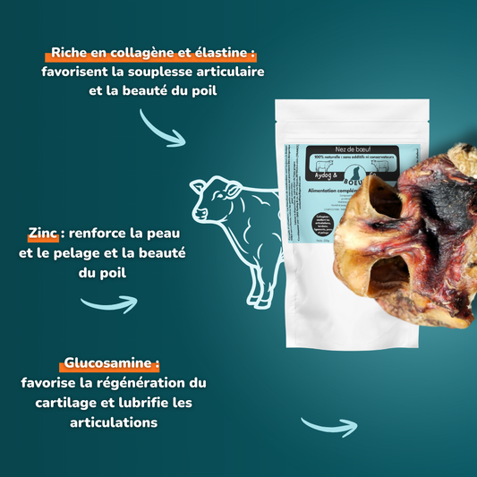 Nez de bœuf - Friandises pour chien