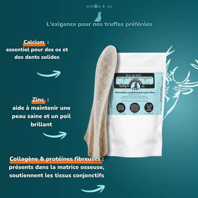 Bois de daim - Friandises pour chiens