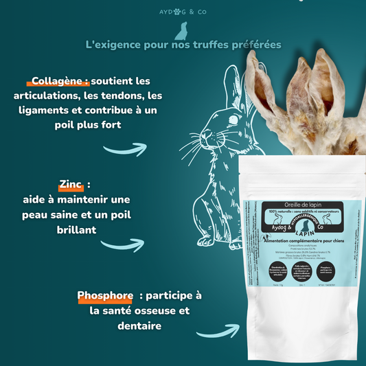 Oreille de lapin avec poils - Friandises pour chien