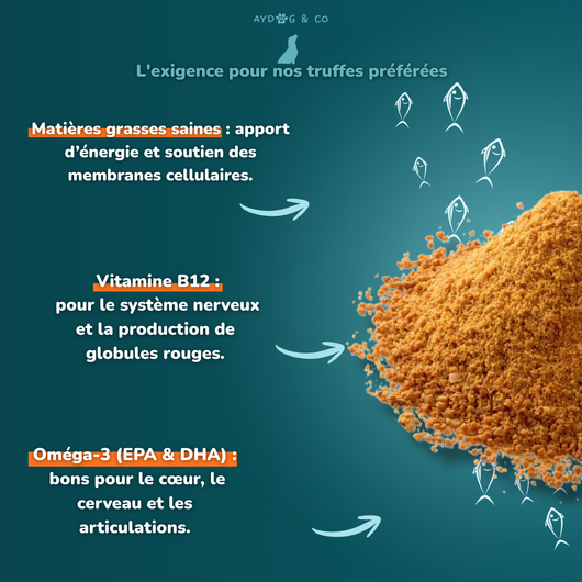 Poudre de saumon 200g - Complément alimentaire pour chien