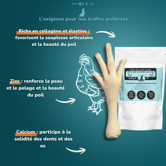 Patte de poulet soufflé - Friandises pour chien
