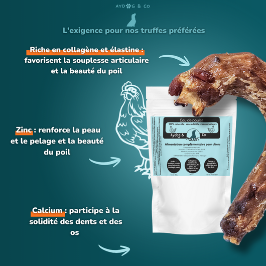 Cou de poulet - Friandises pour chien