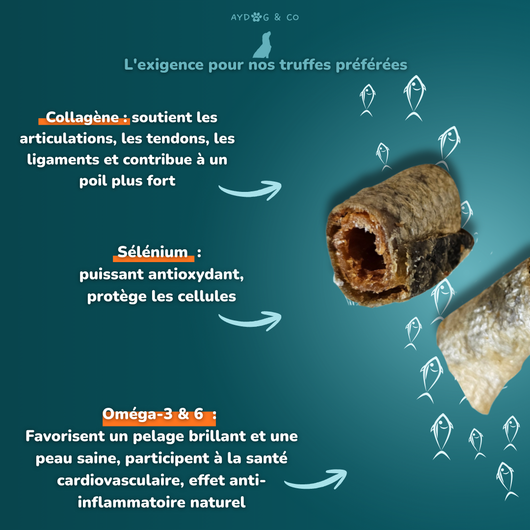 Morceaux de peaux de saumon avec chair  - Friandises pour chien