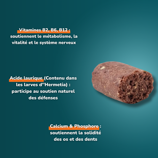 Friandise d'éducation aux insectes - Friandises pour chien