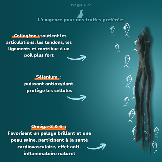 Peau de poisson chat - Friandises pour chien