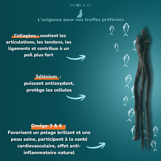 Peau de poisson chat - Friandises pour chien