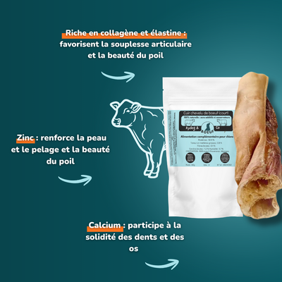 Short-haired beef - Dog treats