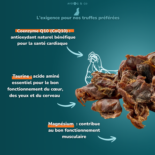 Estomac de poulet - Friandises pour chien