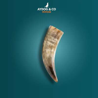 Corne [Précommande]