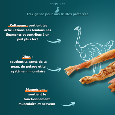 Ostrich tendon (short) - Dog treats