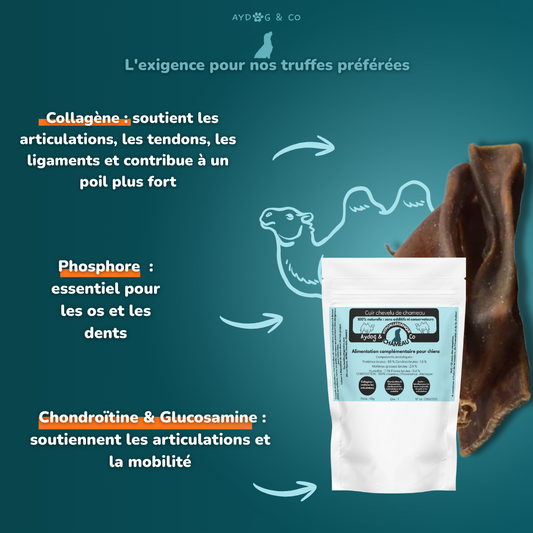 Cuir chevelu de chameau - Friandises pour chien