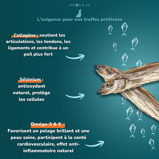 Merlan entier - Friandises pour chien