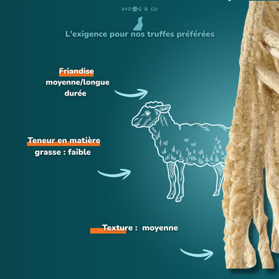 Lambskin with hair - dog treats