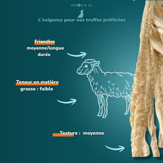 Lambskin with hair - dog treats