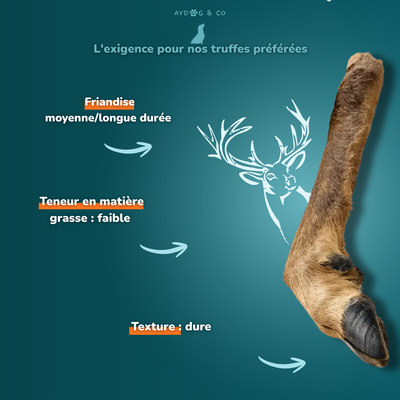 Deer foot with hair - Dog treats