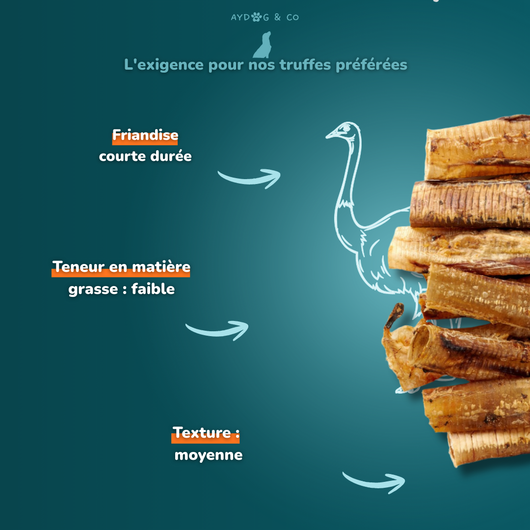 Trachée d'autruche - Friandises pour chien