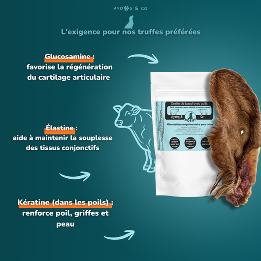 Oreille de boeuf avec poils - Friandises pour chien