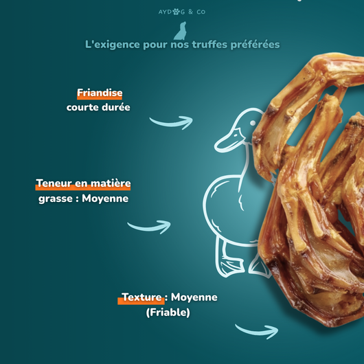Patte de canard - Friandises pour chien