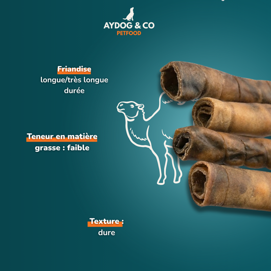 Camel hide (L) - Dog treats