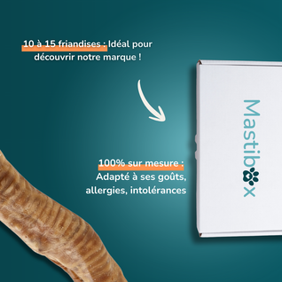 Box de mastication surprise - Friandises pour chien