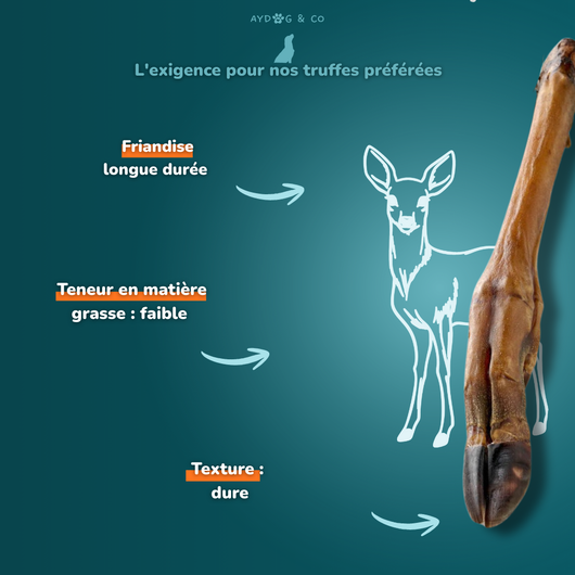 Patte de chevreuil (Avec ou sans poils) - Friandises pour chien