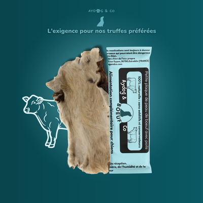 Plaque de peau de bœuf "S" (Avec/sans poils) - Friandises pour chien