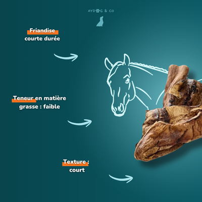 Poumon de cheval - friandises pour chien