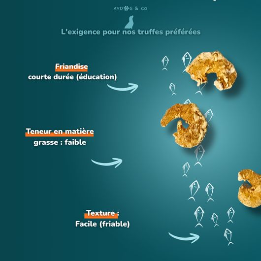 Crevettes  - friandises pour chien