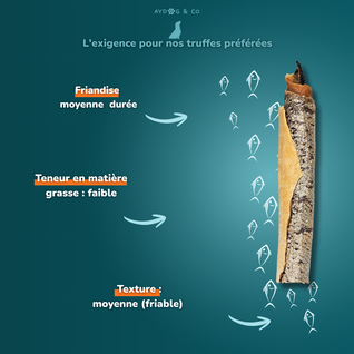 Peau de saumon avec chair - Friandises pour chien