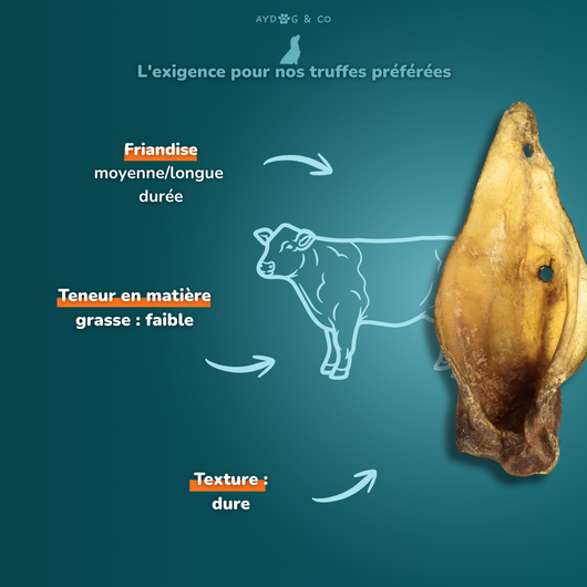 Beef ear - Dog treats