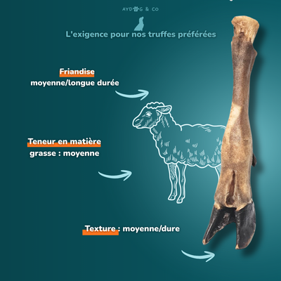 Patte d'agneau- friandises pour chien