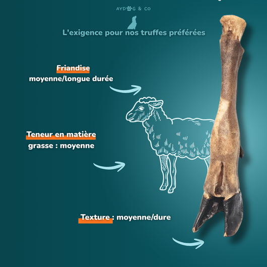 Patte d'agneau- friandises pour chien