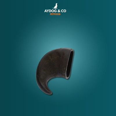 Corne [Précommande]