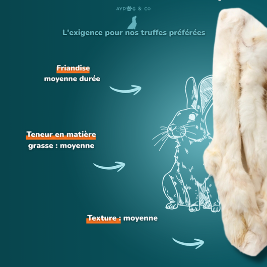 Peau de lapin avec poils - friandises pour chien