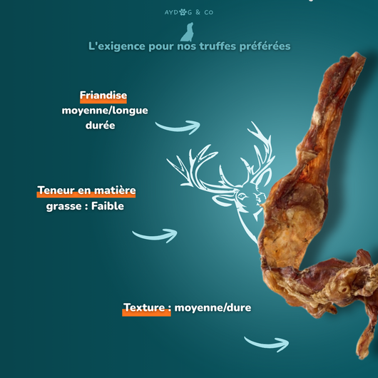 Tendon de cerf - friandises pour chien