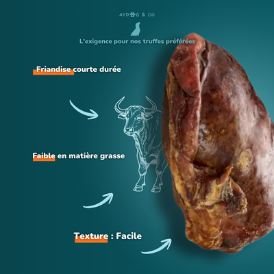 Bull testicle - Dog treats