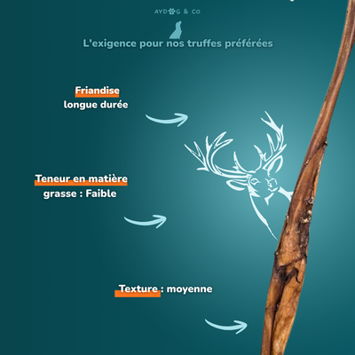 Peau de cerf  L - friandises pour chien