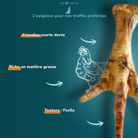 Patte de poulet - Friandises pour chien