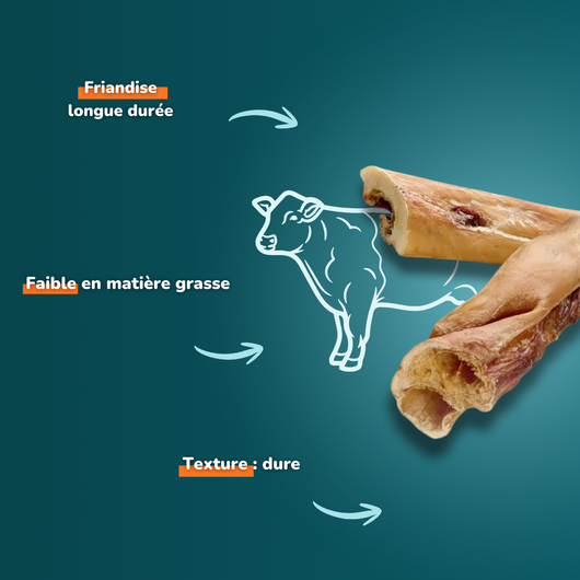 Cuir chevelu de bœuf long - Friandises pour chien