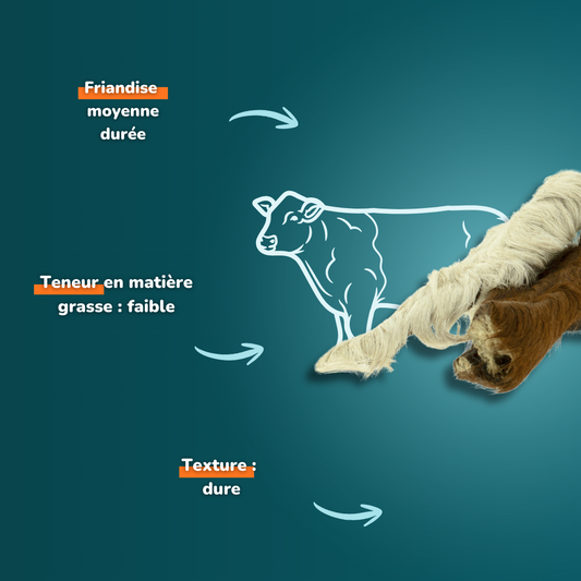 Peau de bœuf avec poils (S) - Friandises pour chien