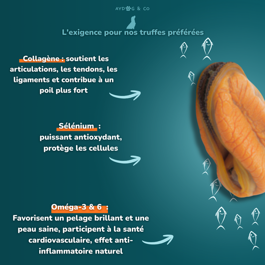 Moules déshydratées - friandises pour chien