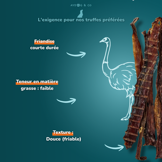 Gorge d'autruche - Friandises pour chien