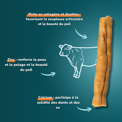 Rolled beef cheek 30cm - Dog treats