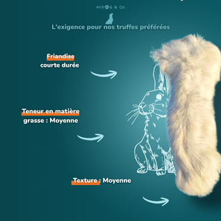 Patte de lapin avec poils - Friandises pour chien