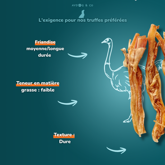 Ostrich tendon (short) - Dog treats